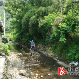 低庄镇:防汛一线党旗红 隐患排查护民安