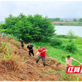 水东镇：党旗映初心 党员先锋践使命