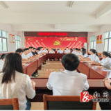 桥江镇:青年共话使命担当 凝聚全镇发展力量