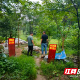 向绿而行 龙潭镇“治养”并举筑牢生态屏障
