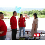 水东镇:湖南农业大学博士团共助力,科技赋能乡村产业振兴