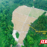 生态赋能焕新颜  均坪矿山治理绘就绿色发展答卷
