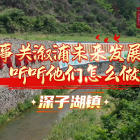 事关溆浦未来发展 听听他们怎么做：深子湖镇