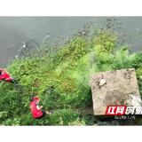 低庄镇:护碧水清流 优人居环境