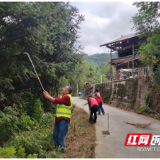 三江镇组织志愿者开展节前志愿服务清扫行动