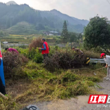 党建红映衬乡村美——溆浦县黄茅园镇分水界村中秋佳节开展环境整治与暖心慰问志愿服务活动