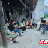 溆浦县思蒙镇:拉网式排查溶洞点位,筑牢生态保护安全屏障