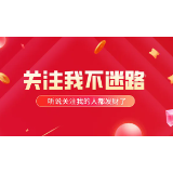 桃树苗育苗场哪家好?中威农业为您推荐