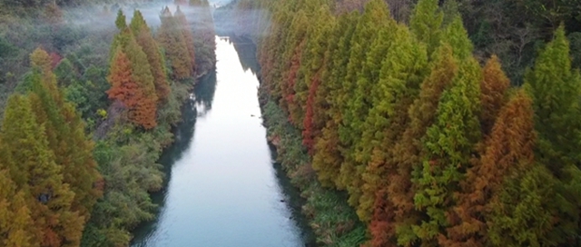 Screenshot_20201113_111741_com.huawei.himovie_mh1.jpg