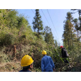 凤凰县：电力工人线路特巡忙