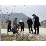 凤凰县审计局政府投资审计监督中心坚持全面审计复核民生工程项目