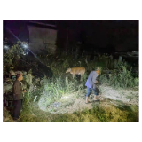 凤凰县腊尔山镇：“雪亮乡村”助力走失耕牛找到主人
