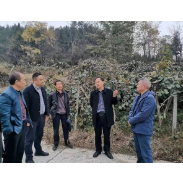 颜长文到凤凰县老科协科技示范基地调研