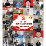 热议党的十九届六中全会  凤凰青年团干进行时