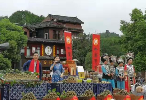 凤凰县财政局：多措并举优化政府采购 助力凤凰乡村振兴发展