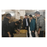 瞿红兵调研凤凰烟叶收购和基本烟田规划建设工作