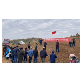 凤凰县禾库安置区第一批桑苗落地生根