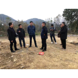 州茶叶协会会长潘春新到凤凰调研茶叶产业