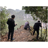 凤凰风景名胜区管理处组织州林科院专家组对凤凰风景名胜区进行资源普查