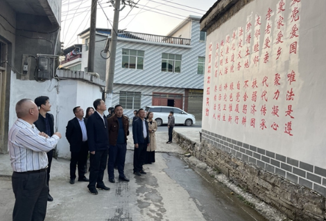 省商务厅一级巡视员、省商务服务中心党委书记、主任毛七星一行到凤凰县化眉村实地调研乡村振兴工作
