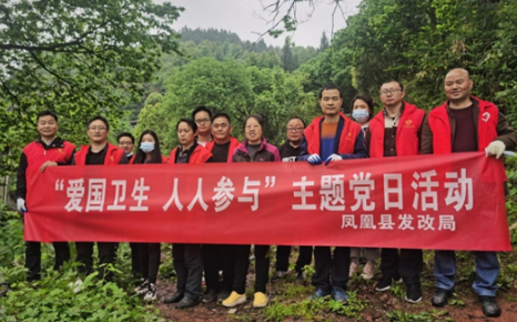 【学党史 牢初心】凤凰县发改局：开展“党建·爱卫”主题党日活动