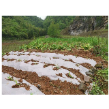 凤凰探索城郊废弃采石场生态复绿的“三赢模式”