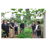 凤凰县：校县合作搭平台  吸引企业促发展