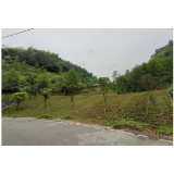 凤凰县委党校主体班开展爱卫创建系列活动