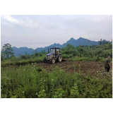 凤凰县禾库镇：铁腕整治倒逼土地抛荒复垦复耕忙