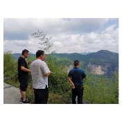 杨光仕一行深入到凤凰风景名胜区景区內实地考察