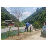 凤凰县吉信镇:严格落实禁渔禁捕工作