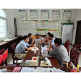 龙志勇深入水打田乡袍上村指导防止返贫动态监测工作