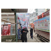 凤凰县千工坪镇：整治“一店多牌”  提升镇区“颜值”