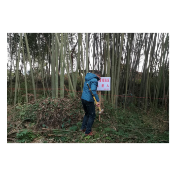 凤凰县开展春节前地质灾害安全隐患排查