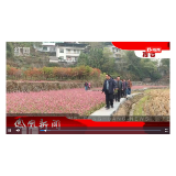 2022年10月31日湖南凤凰新闻