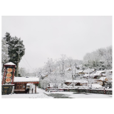 凤凰：普降大到暴雪 万物银装素裹