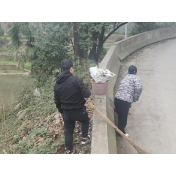 凤凰县筸子坪镇：节后大扫除 扫除新气象