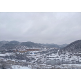 凤凰县禾库镇：党员干部齐上阵，众志成城御冰雪