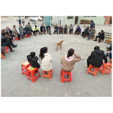 凤凰县麻冲乡开展人居环境整治提升行动