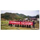 外出考察学经验  谋划产业促增收——兴湘集团驻村工作队外出学习考察产业发展经验