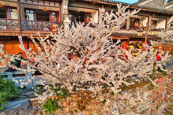 图片1.jpg