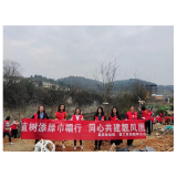凤凰县委统战部、县工商联开展“植树添绿巾帼行，同心共建靓凤凰”活动