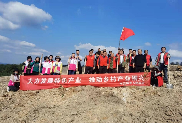图片6.jpg