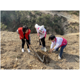 凤凰县水打田乡：巾帼志愿者积极参与义务植树志愿服务