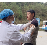 凤凰县新场镇：为民办实事 送苗到身边