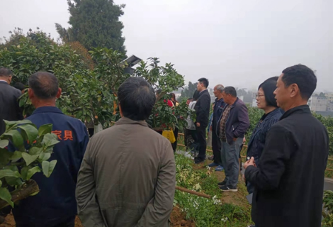 十里春风助春忙，科技服务显真情——省农科院土壤肥料研究所在菖蒲塘村开展肥料捐赠及技术培训活动