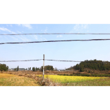 规整“蜘蛛网”，露出“天际线” 凤凰科工信战线以“思想大解放”推进户外管线治理见成效  