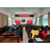 凤凰县水打田乡：以思想大解放为抓手  筑牢疫情防控之墙
