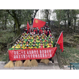 社区青春行动丨团凤凰县委开展“3.5学雷锋”青春护绿志愿服务