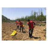 凤凰风景名胜区管理处党员志愿者舞锄撒种助力长潭岗荞旅融合观景带基地建设